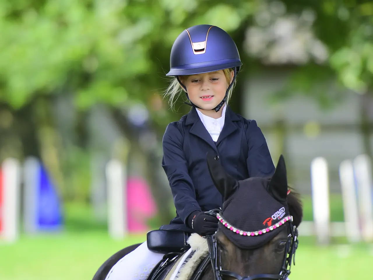 Billede 1 - Sød børne pony Jackie