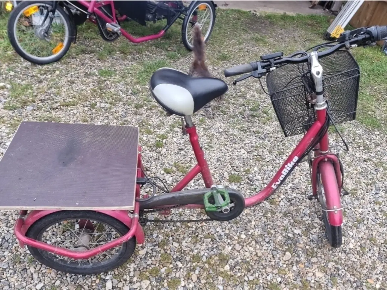 Billede 3 - Fler forskellige Sjov Taxa/BUD/TOMS/Cola Cykler Fo