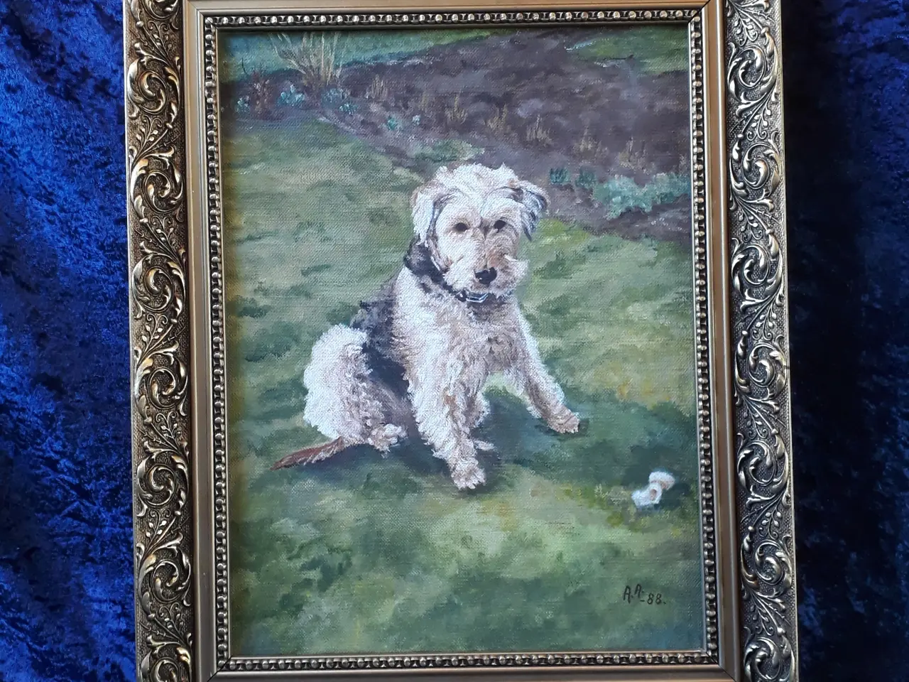 Billede 1 - Oliemaleri Ruhåret Foxterrier