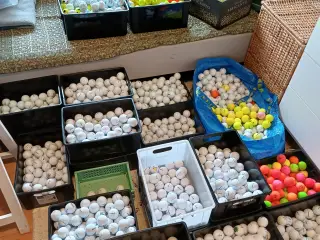 Golfbolde fra 2 kr/stk