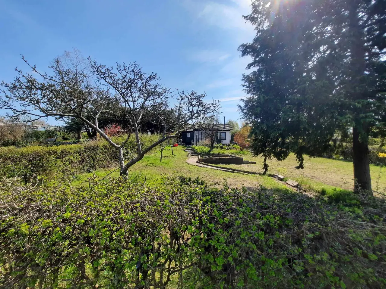 Billede 2 - Kolonihave med udestue – H/F Martinsminde, Odense