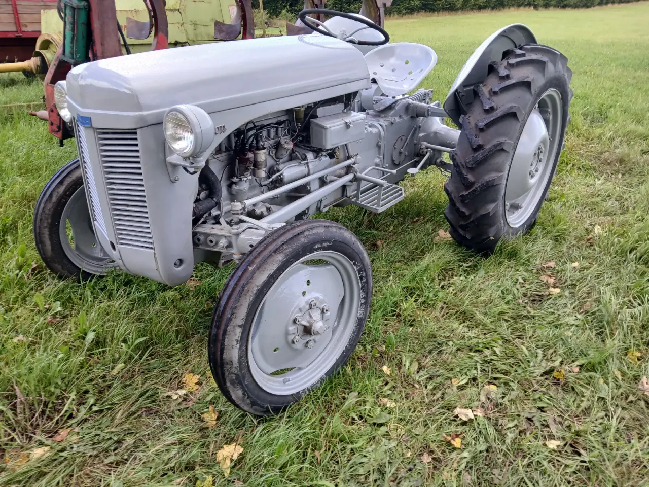 Billede 2 - Ferguson Traktor