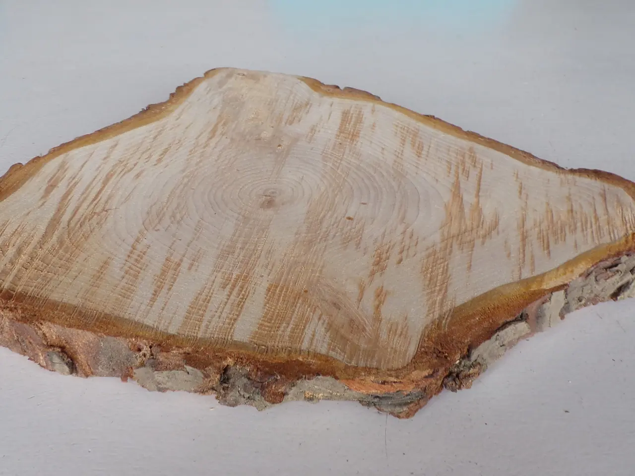 Billede 3 - Thuja Træskive med bark - 32x28,5