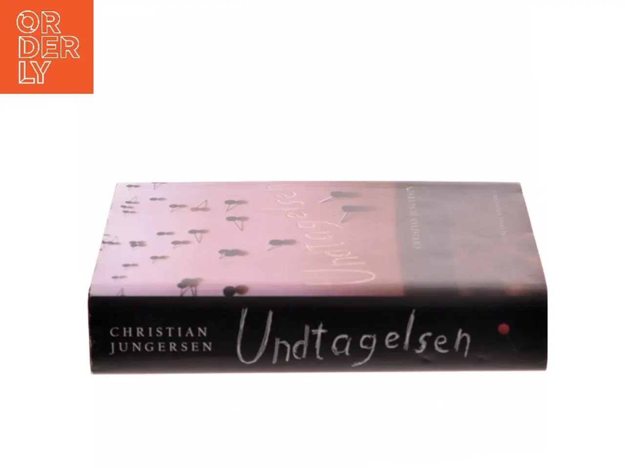 Billede 2 - Undtagelsen : roman af Christian Jungersen (Bog)