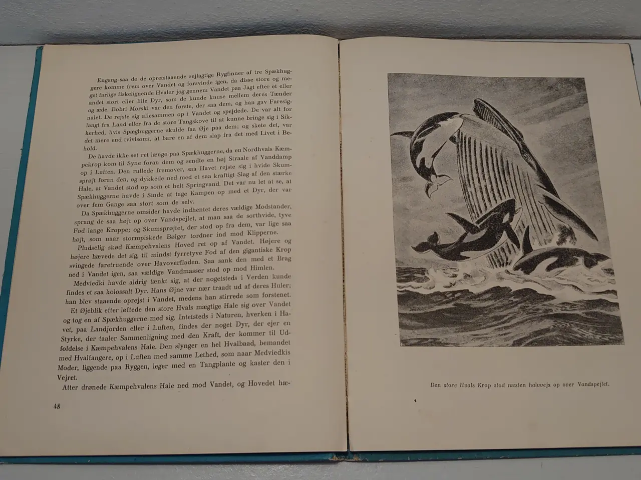 Billede 4 - Harold McCracken:Havodderens Saga.ill.Paul Bransom