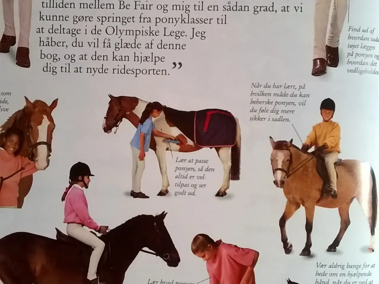 Billede 5 - Min Ridebog af Lucinda Green