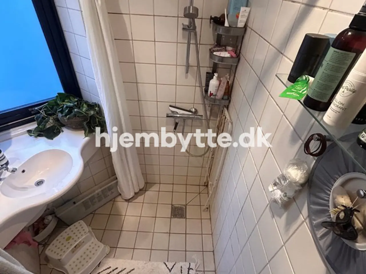 Billede 2 - Hjembytte - Brohusgade