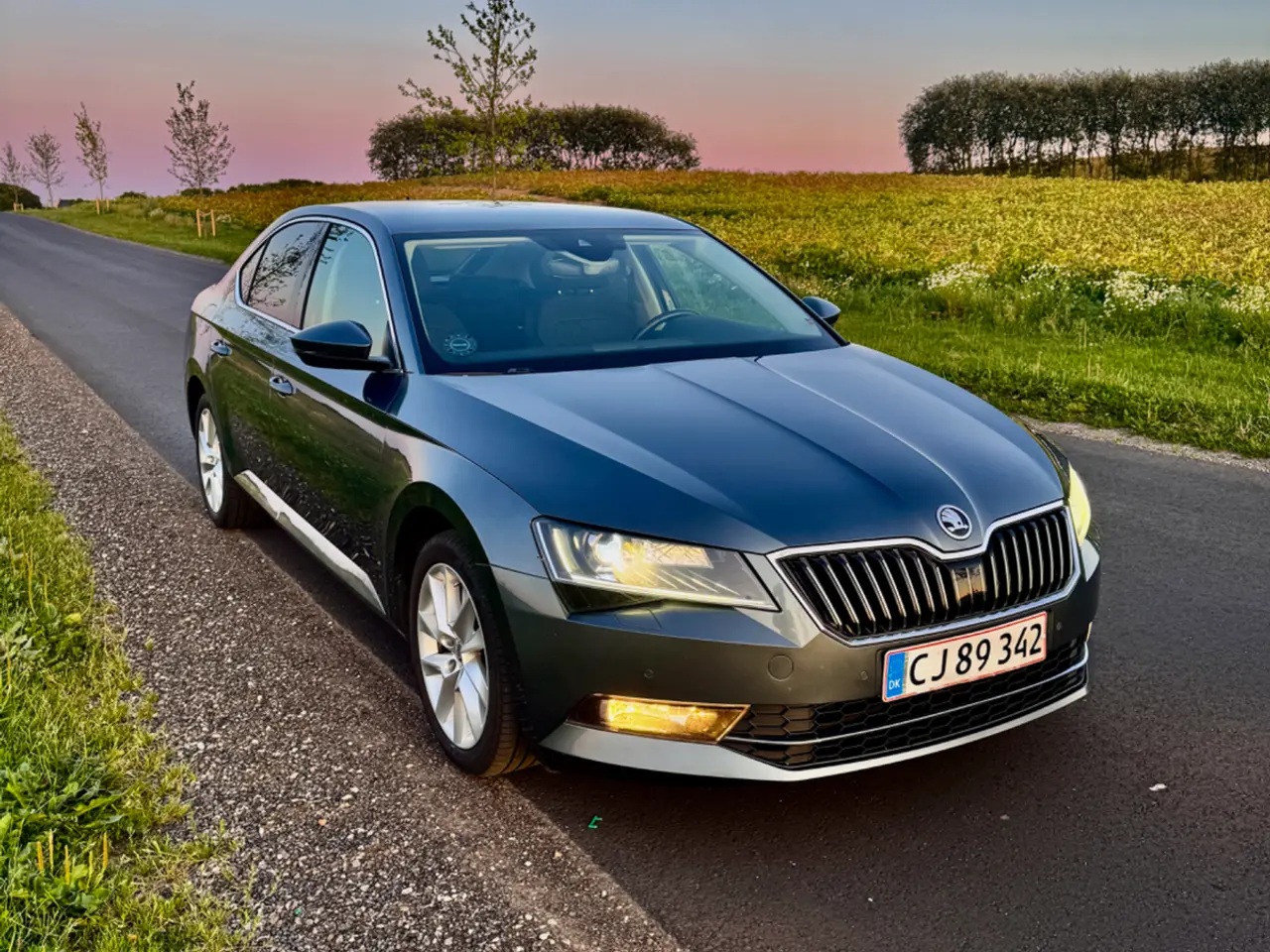 Billede 3 - Skoda Superb 1,6 TDi 120 Style DSG