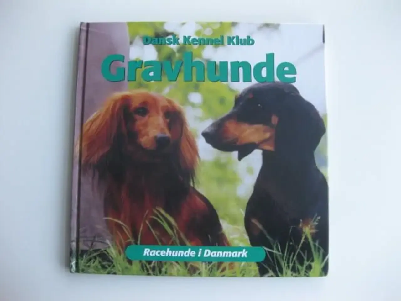 Billede 1 - Gravhunde