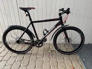 RAAM BMX 17.0