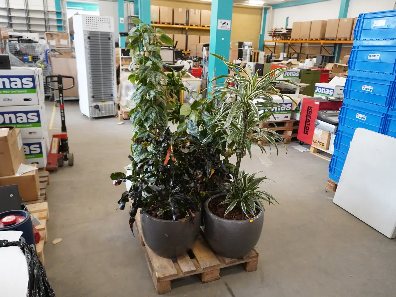 Billede 1 - Palle med div. planter i krukker