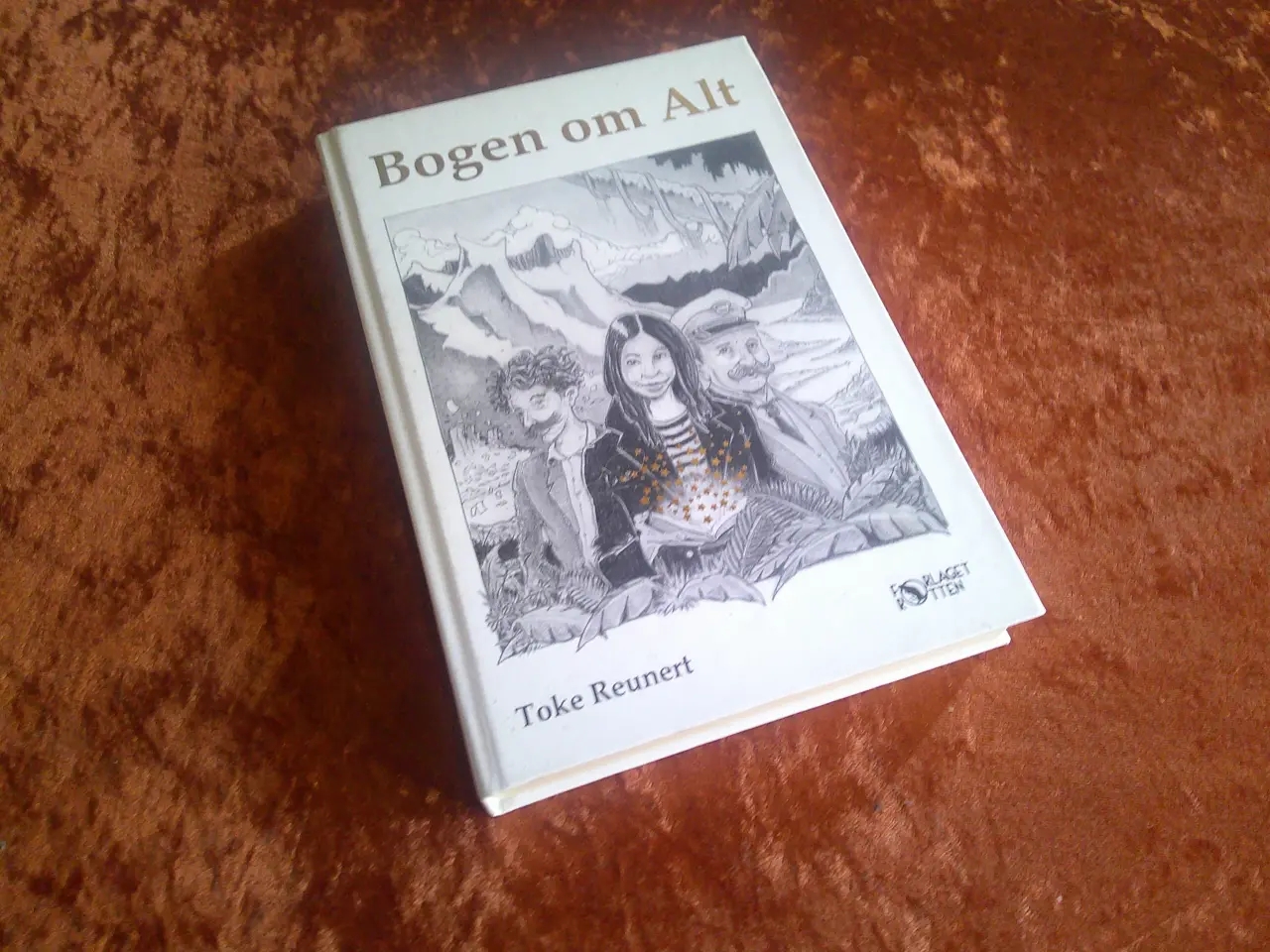 Billede 1 - Bogen om alt, Toke Reunert,
