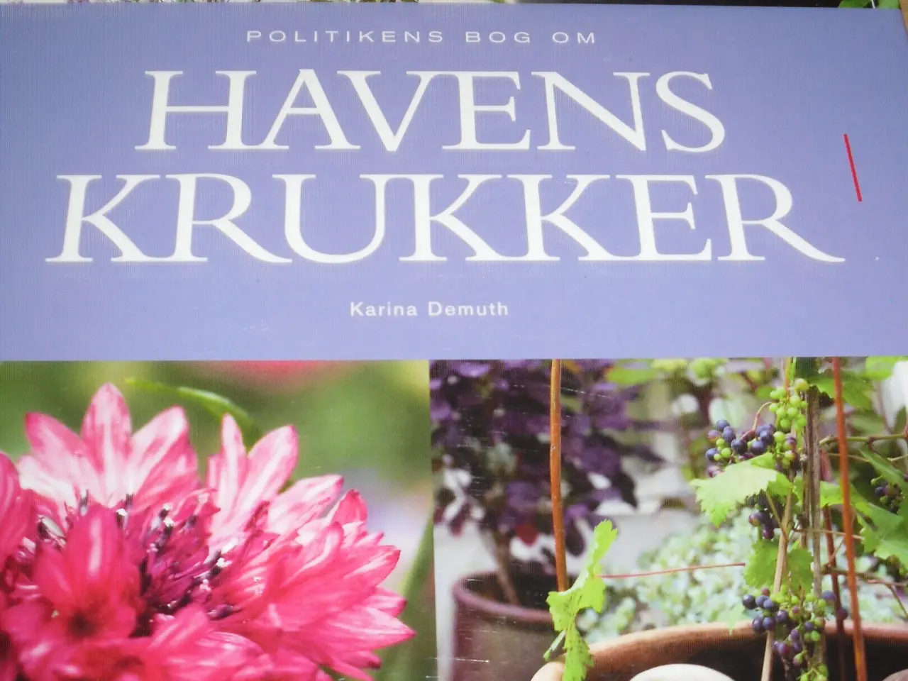 Billede 1 - BYD. Politikens bog om HAVENS KRUKKER.