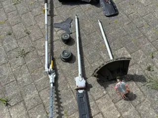 Buskrydder 