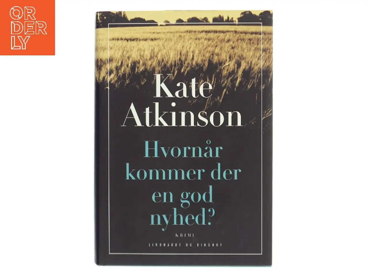 Billede 1 - Hvornår kommer der en god nyhed? af Kate Atkinson (Bog)