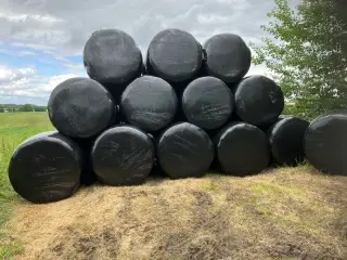 Wrap til heste