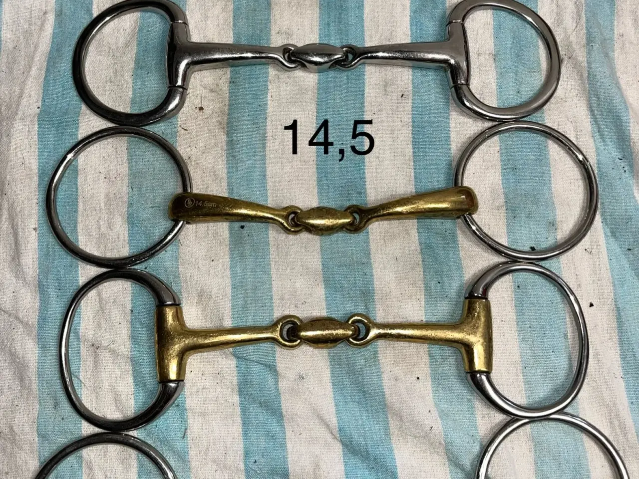Billede 5 - Masser af  bid