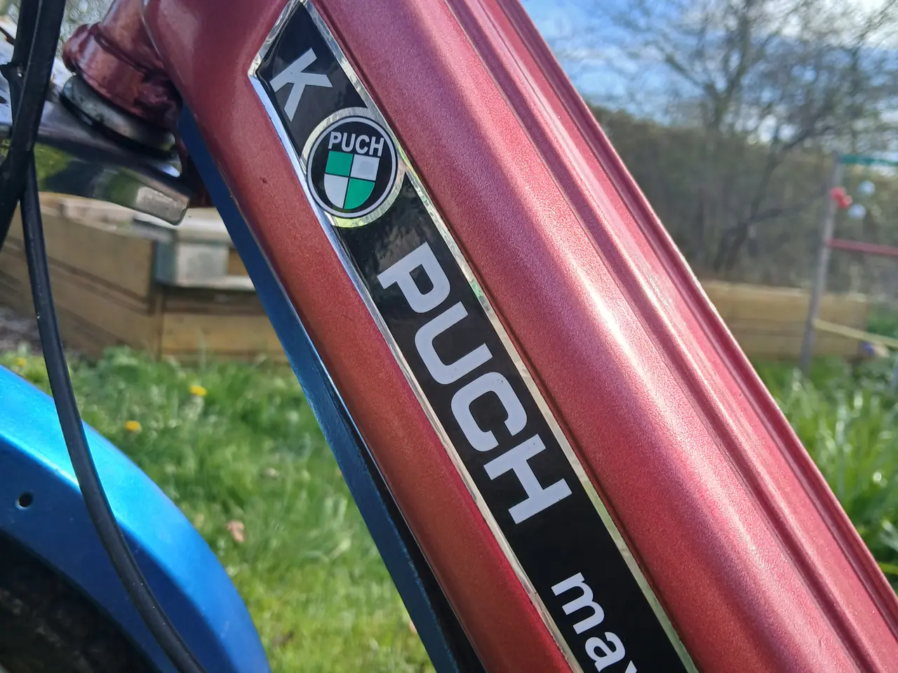Billede 15 - Puch Maxi K