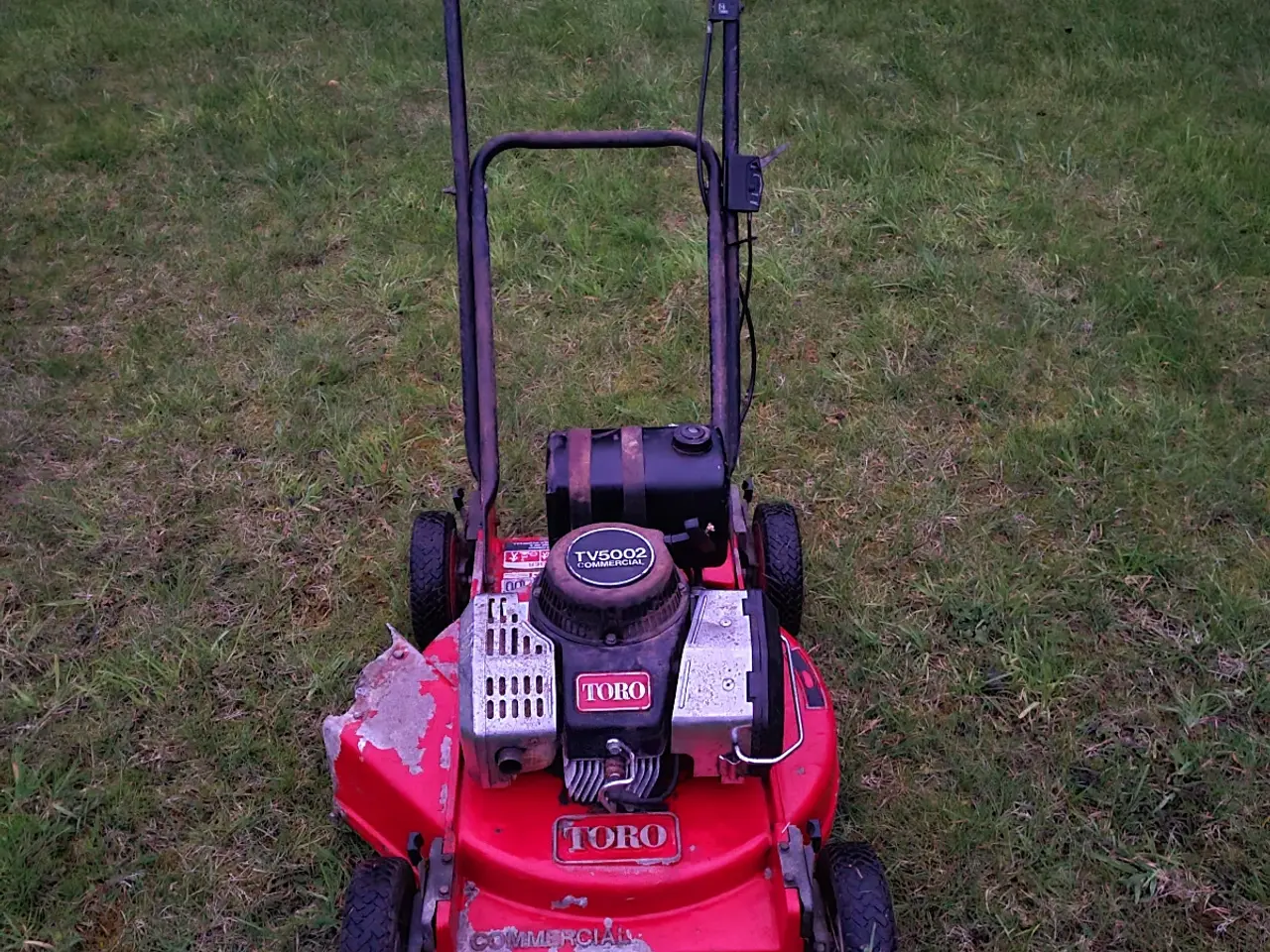 Billede 2 - Toro Commercial TV5002