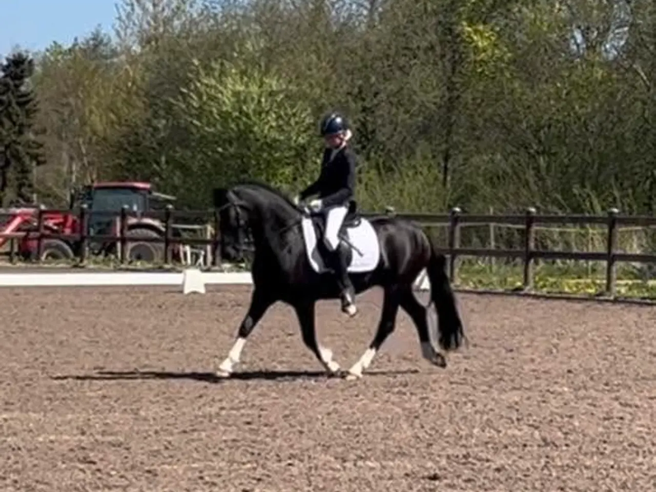 Billede 8 - Max kat 3,super børnepony