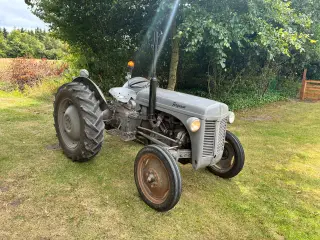 Ferguson 26