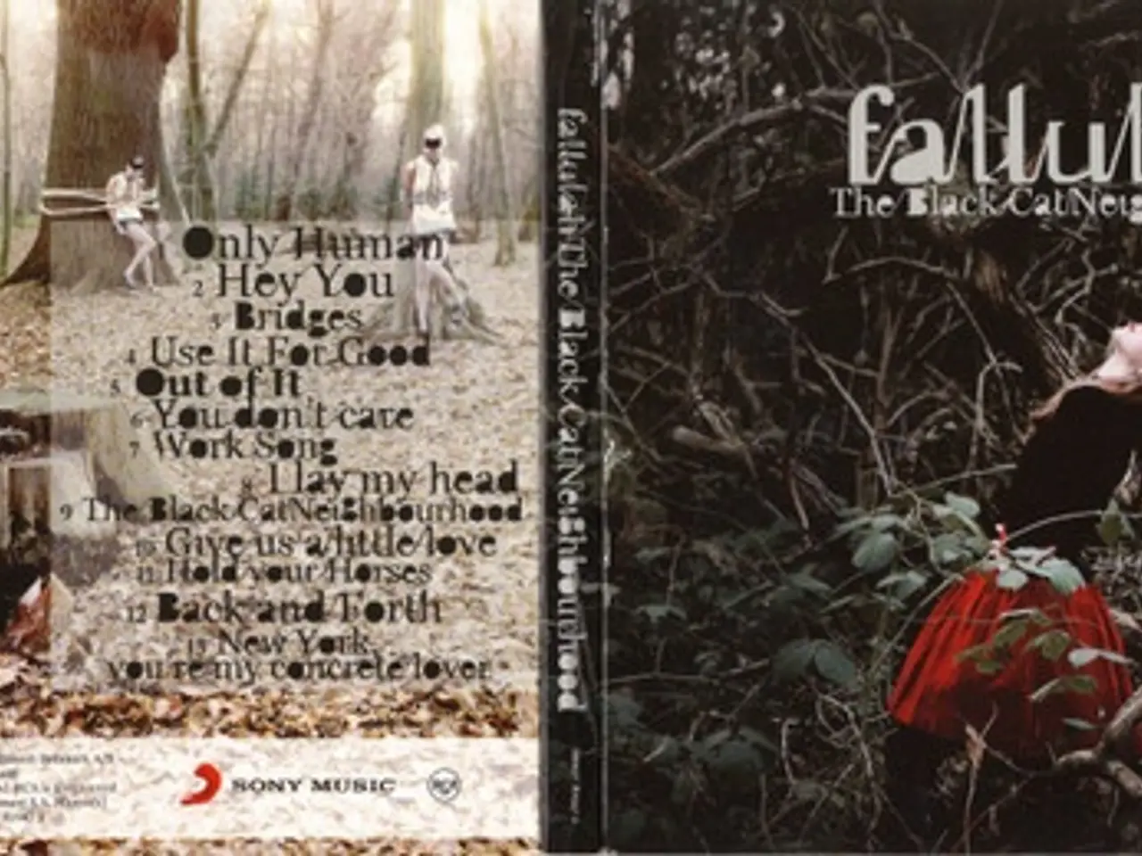 Billede 5 - Fallulah – The Black Cat Neighbourhood – CD