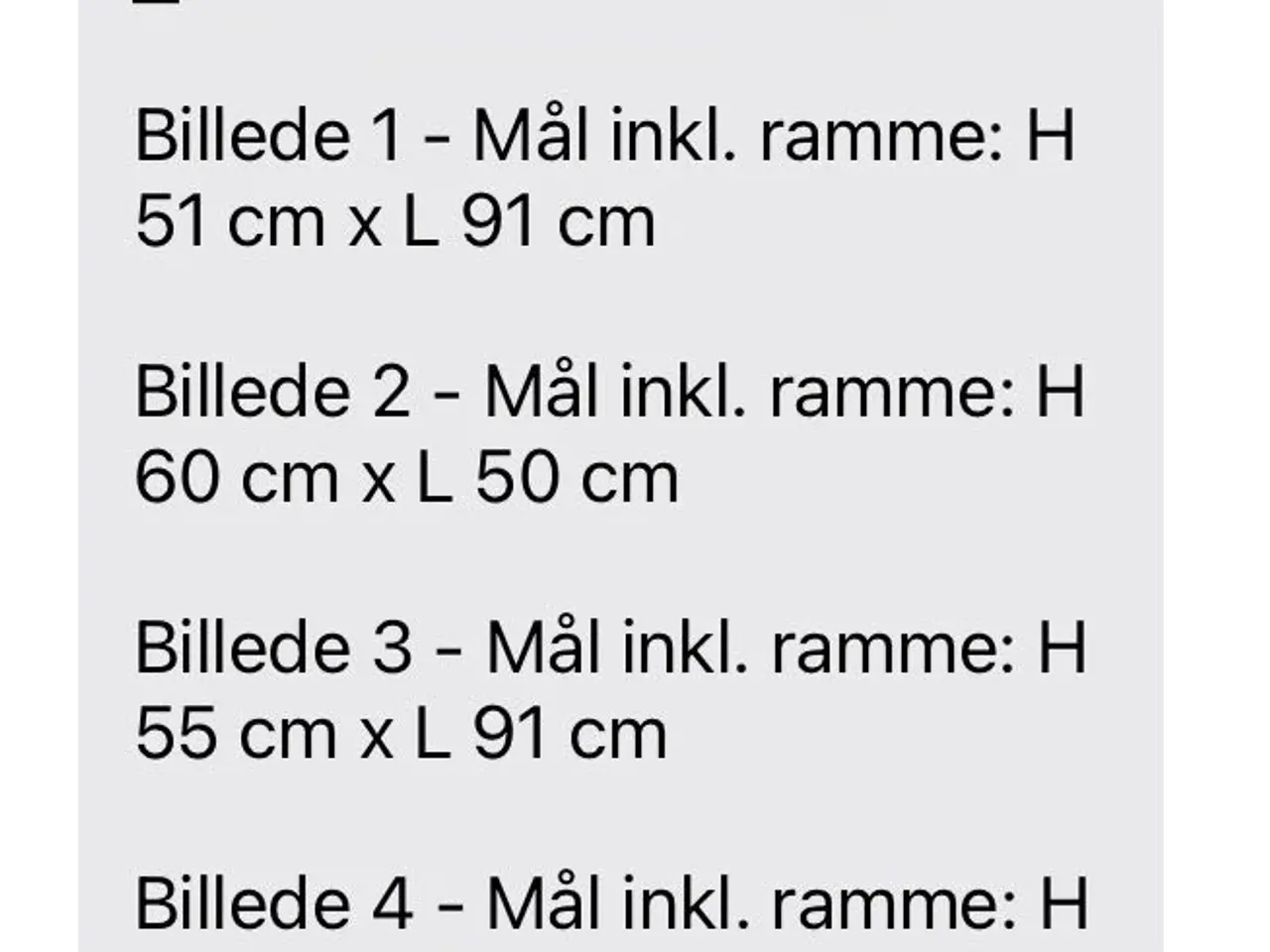 Billede 6 - Malerier med guldrammer