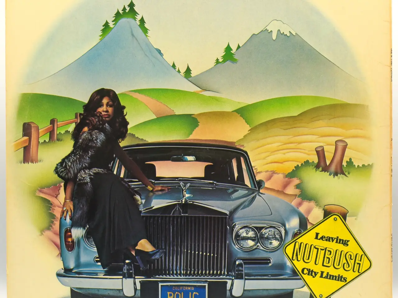 Billede 2 - Ike & Tina Turner - Nutbush City Limits - GER 1973