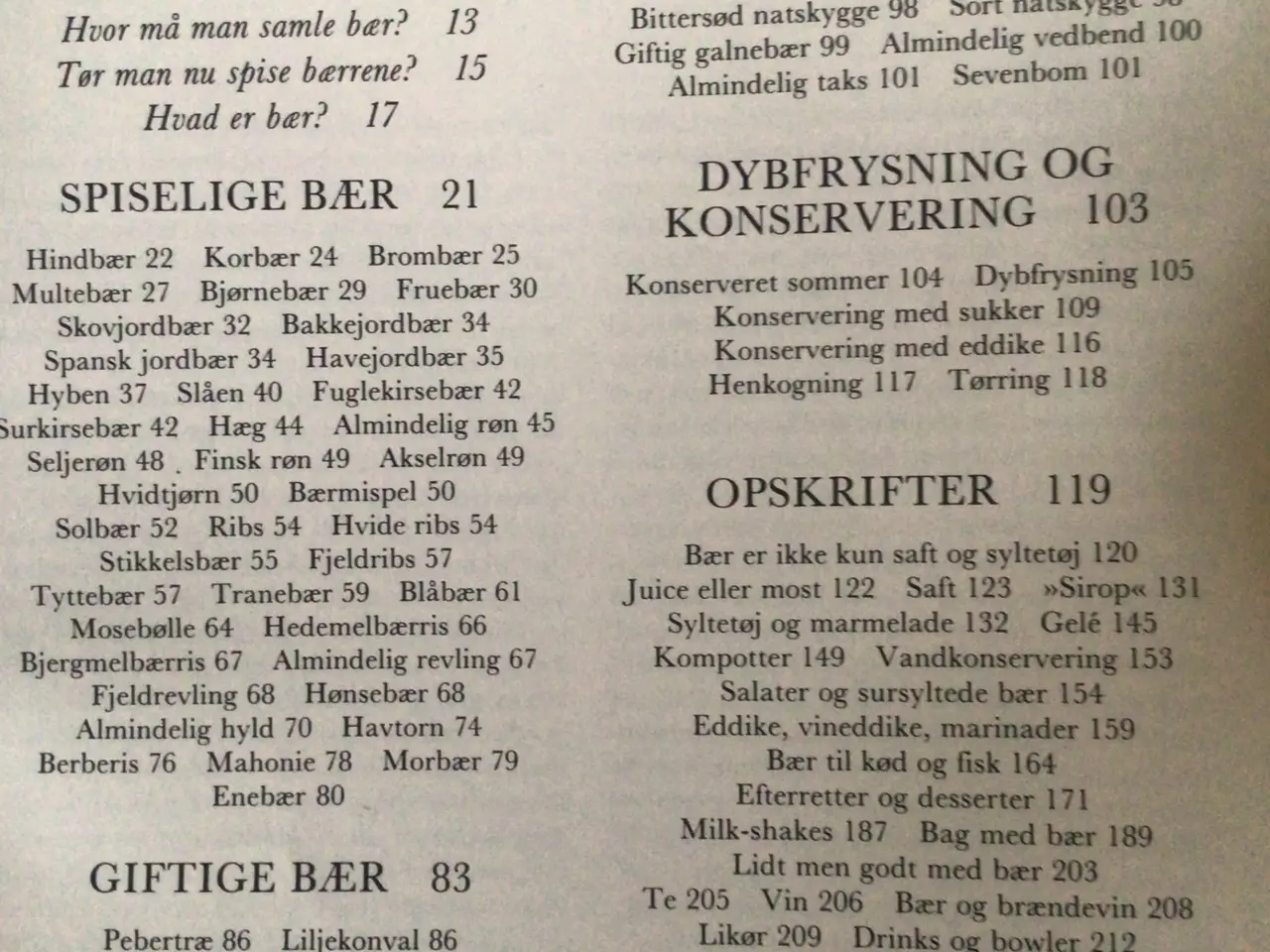 Billede 3 - Den Store Bærbog