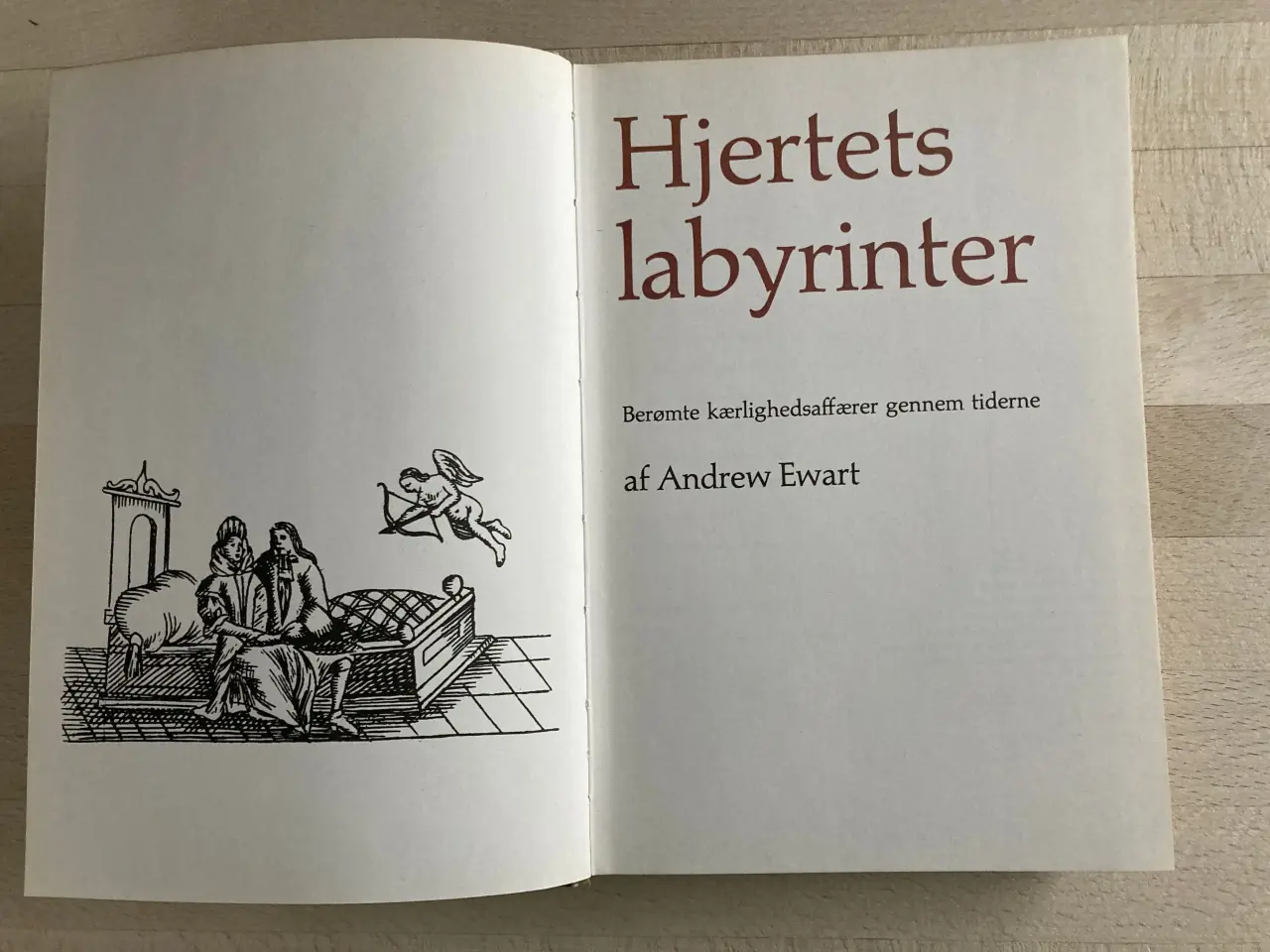 Billede 1 - Hjertets labyrinter, Andrew Ewart