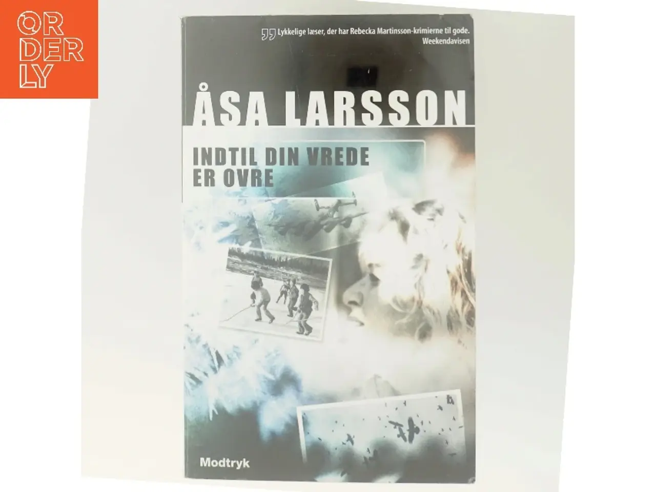 Billede 6 - Indtil din vrede er ovre af Åsa Larsson (Bog)