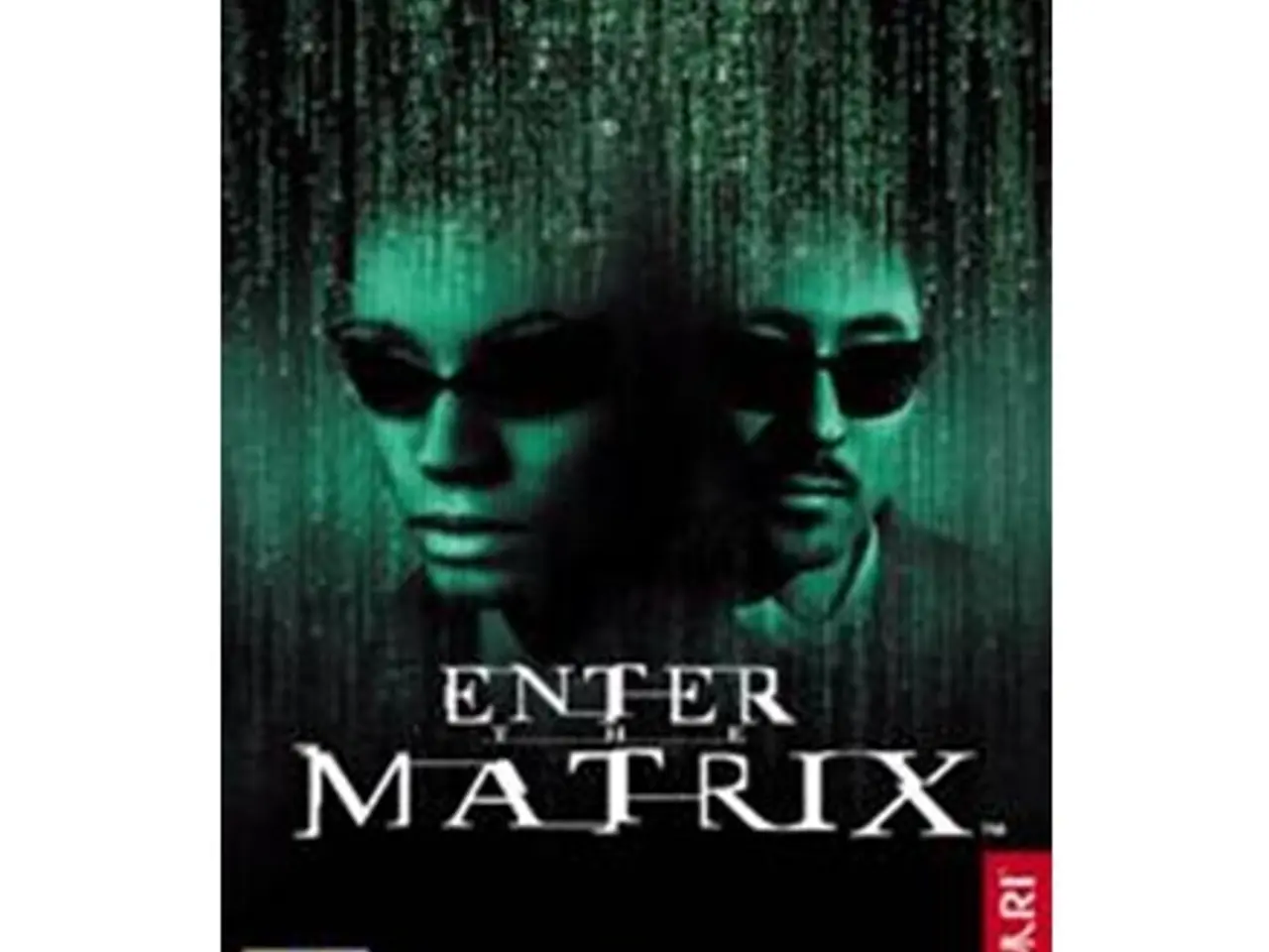 Billede 1 - Enter the Matrix