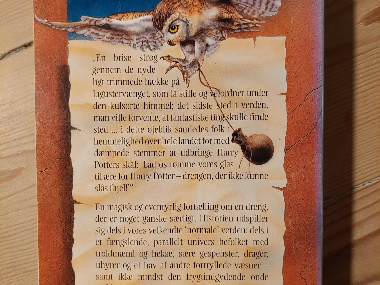 Billede 3 - Harry Potter og De Vises Sten