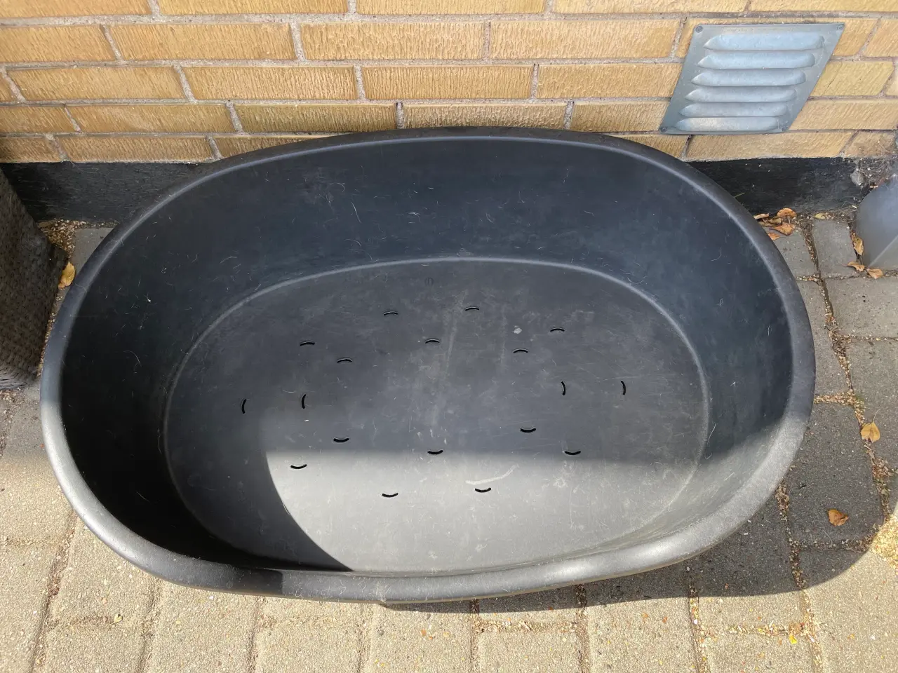 Billede 3 - hundekurve 