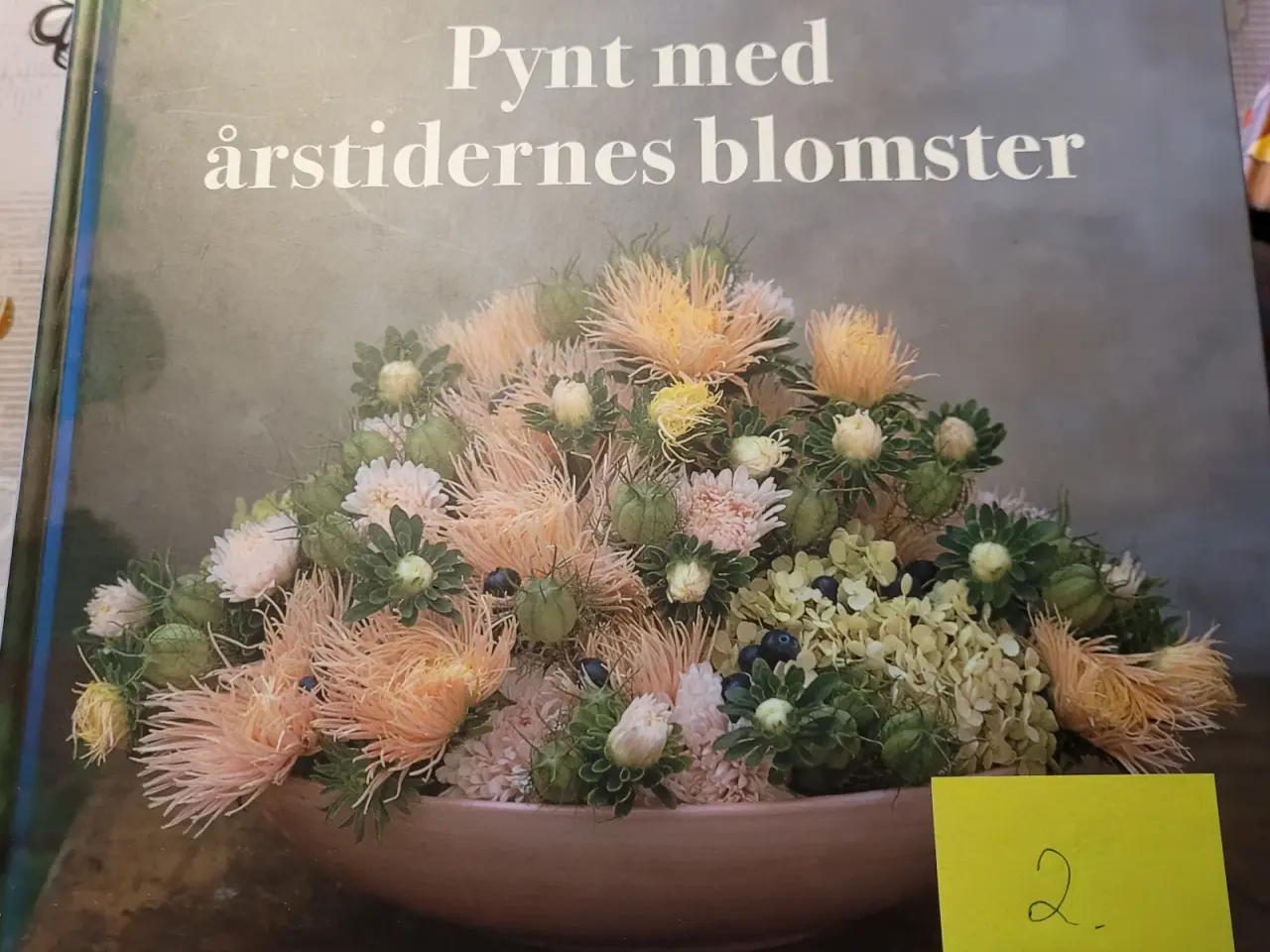 Billede 2 - Hanne Ploug