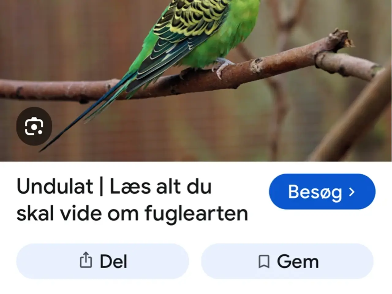 Billede 1 - 8 unger fra 2026