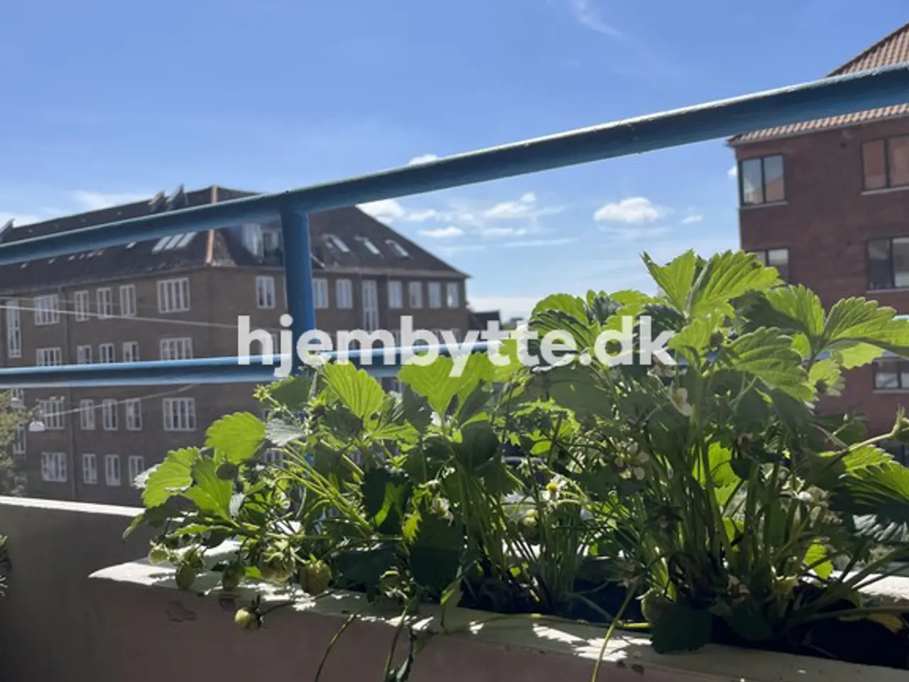 Billede 1 - Hjembytte - Godthåbsvej