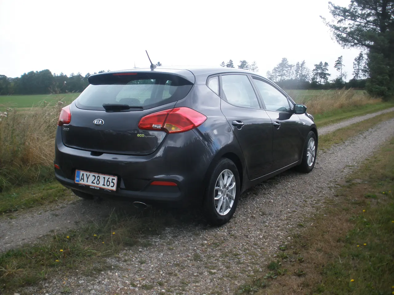 Billede 9 - Kia Ceed 1,4 CRDI 5 dørs