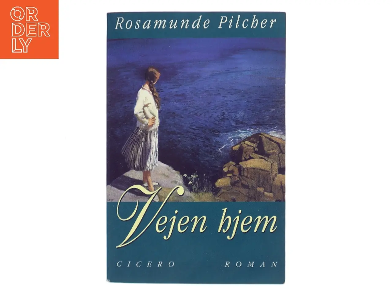 Billede 1 - Vejen hjem af Rosamunde Pilcher (Bog)
