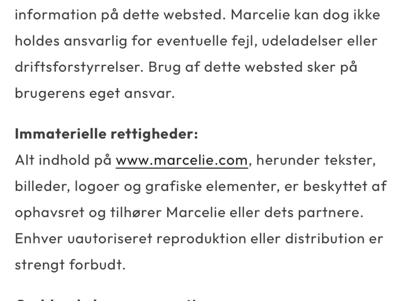 Billede 2 - TEMU i forklædning 