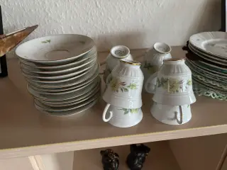Klitrosestel sælges