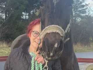 Søger en opvaskemaskine