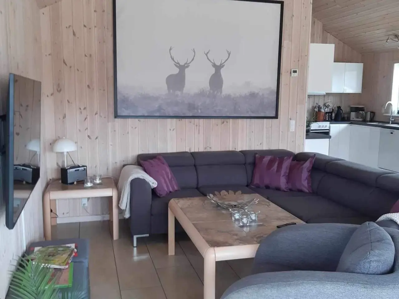 Billede 3 - INDHEGNET Sommerhus i Tranum