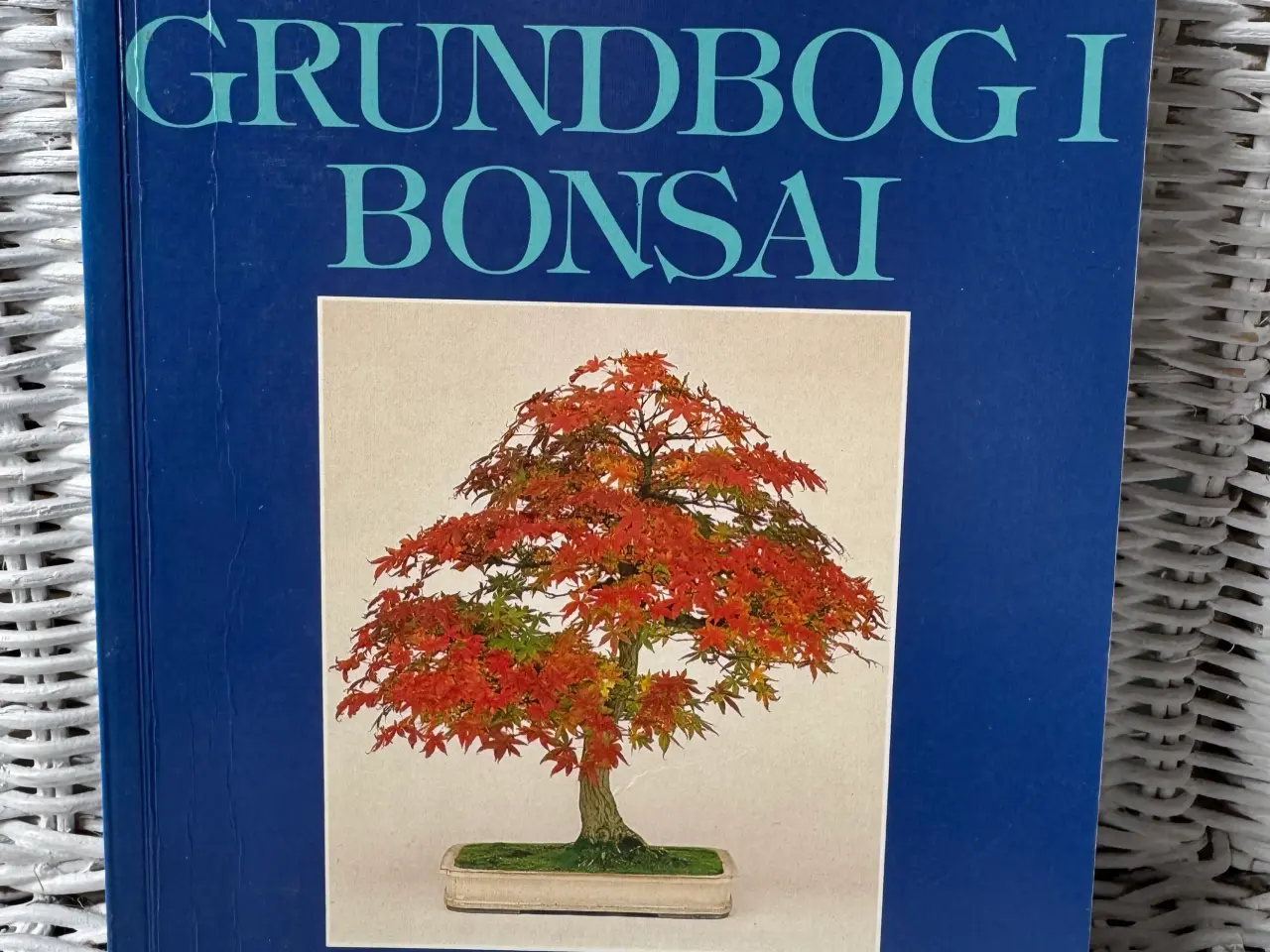 Billede 5 - Bonsai bøger Hugning i sten Japansk home