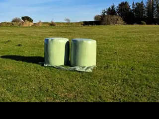 Heste wrap