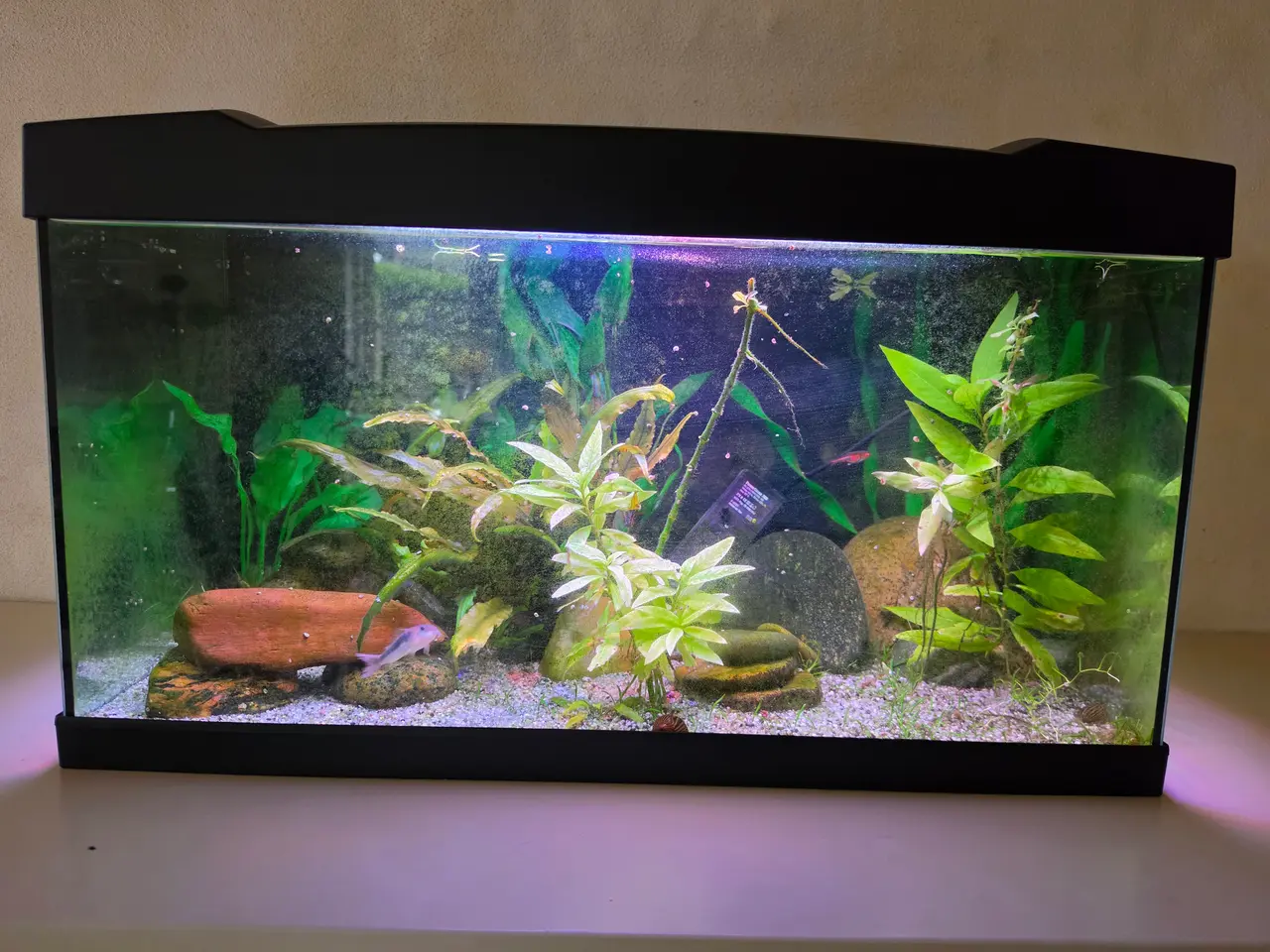 Billede 3 - STARTERSÆT 57 LTR. M/ 6 WATT LED 60X30X36,50 Cm 