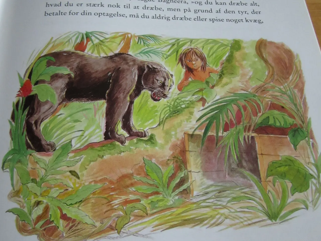 Billede 2 - Rudyard Kipling. JUNGLEBOGEN.