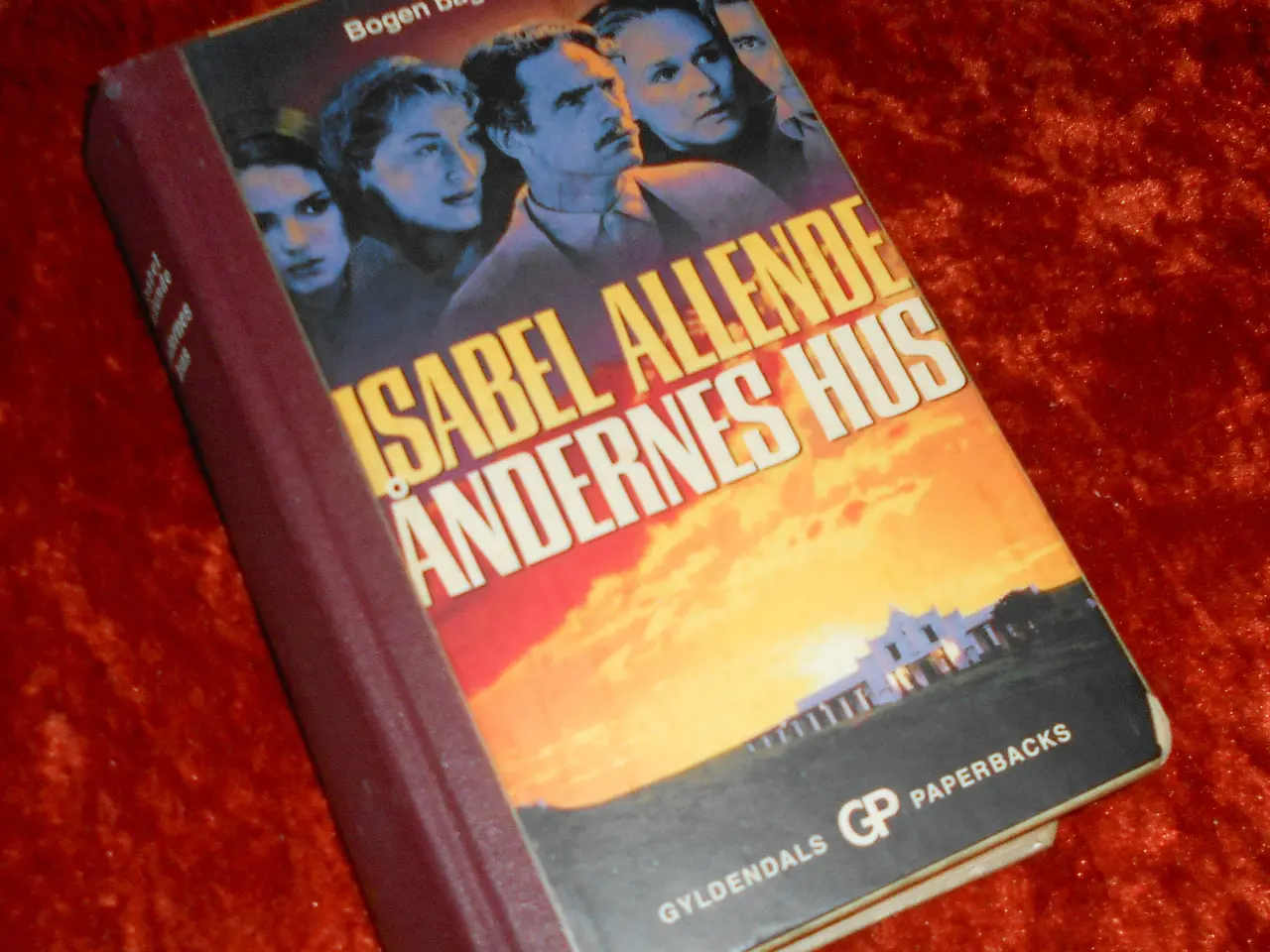 Billede 7 - Portræt i Sepia m.fl., Isabel Allende