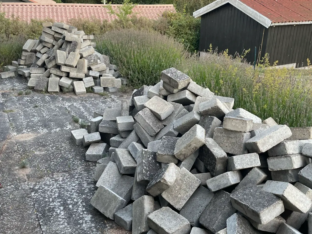 Billede 1 - IBF Holmegårdssten, tykke
