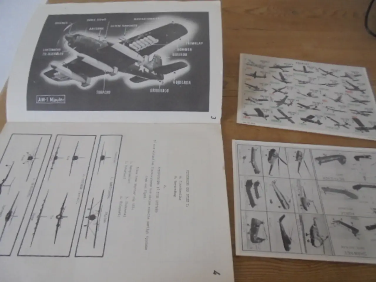 Billede 3 - Vejledning i Flykending – se fotos og beskrivelse